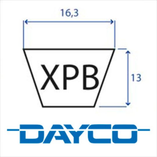 205.XPB1450